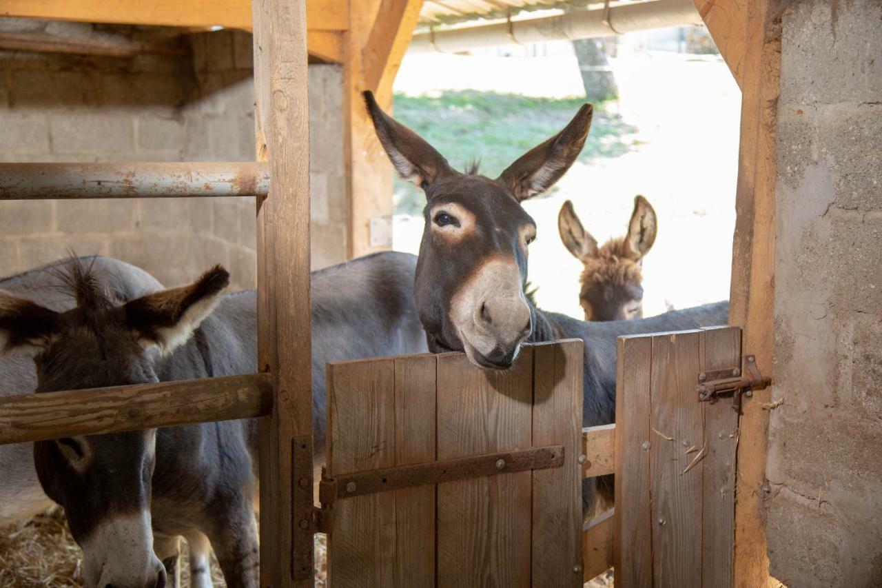 La Maison Du Bonheur "Le Gite" Saint-Ouen-sous-Bailly Exteriör bild